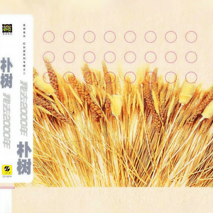 中山文香护士系2023年最新进展
