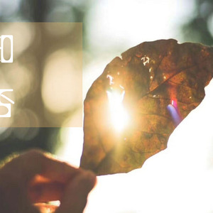 中山文香护士系2023年最新进展
